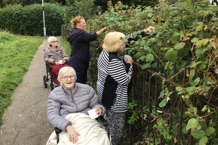 Maple Lodge, Sunderland, Blackberry picking