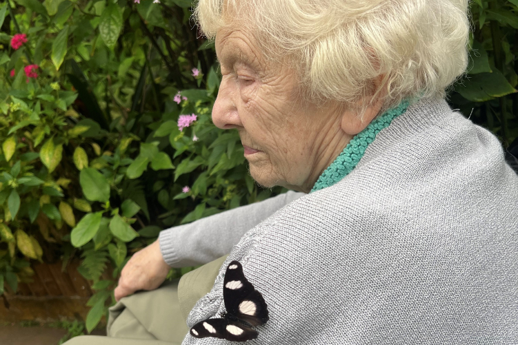 Redwell Hills Care Home, Consett, Butterfly World