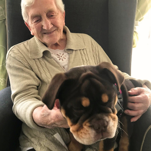 National Pet Day at The Laurels Care Home