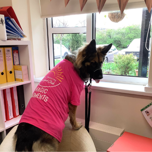 National Pet Day at Maple Lodge Care Home