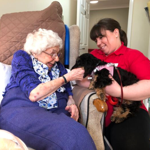 National Pet Day at Pennine Lodge Care Home