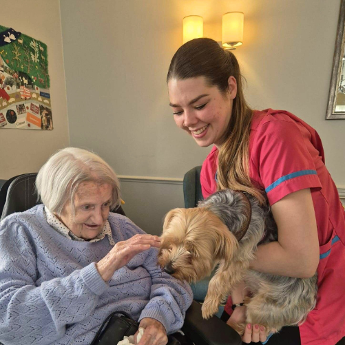 National Pet Day at Kingston Care Home